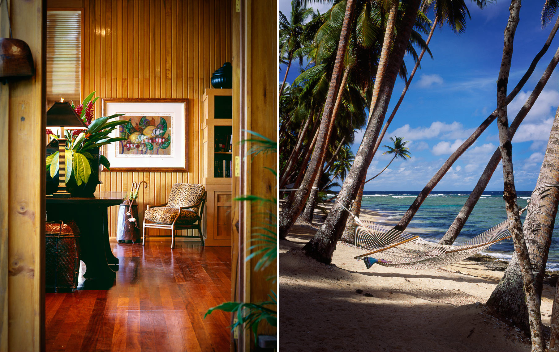Fiji3.jpg